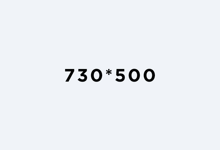 730*500